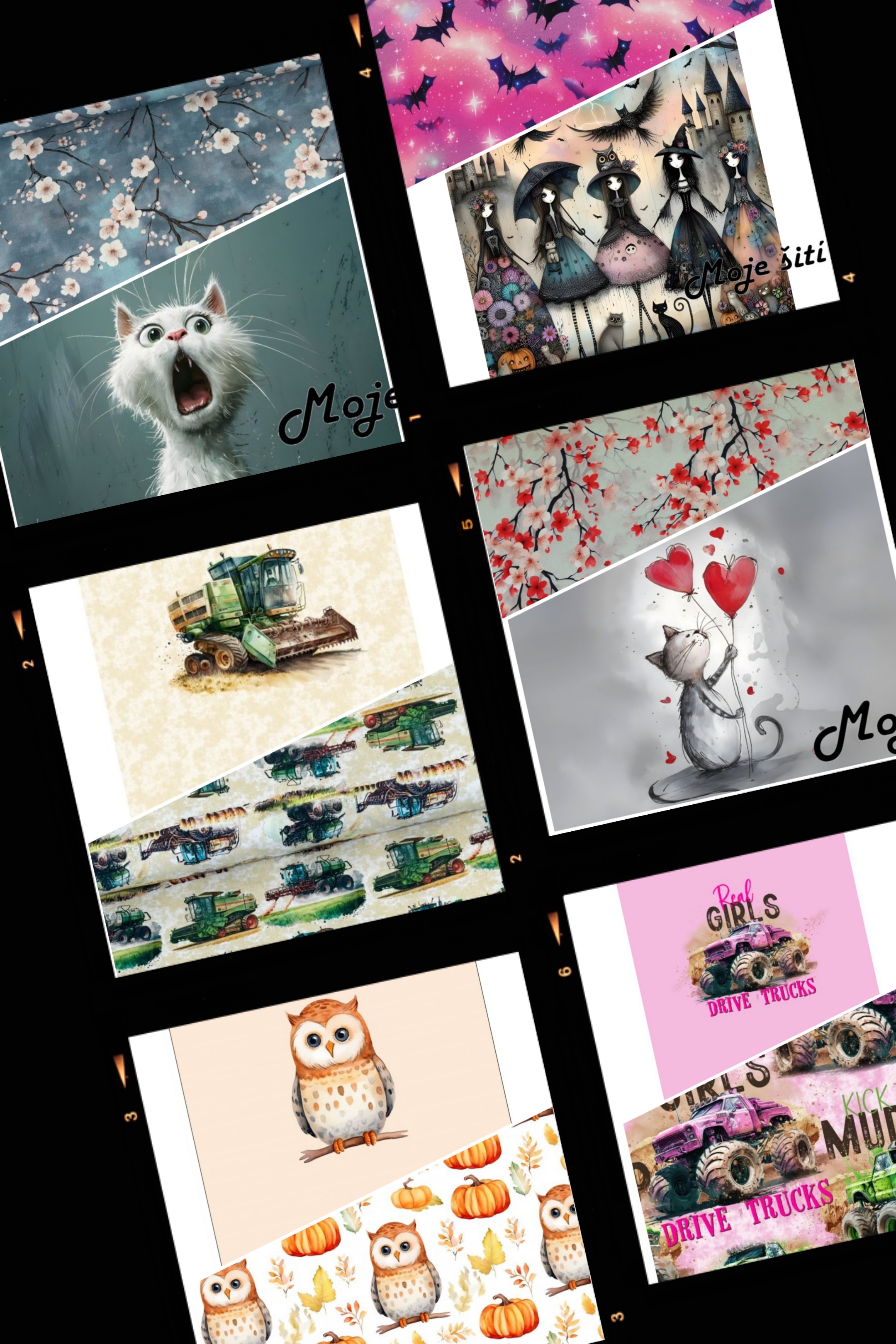 20250814_112845-COLLAGE