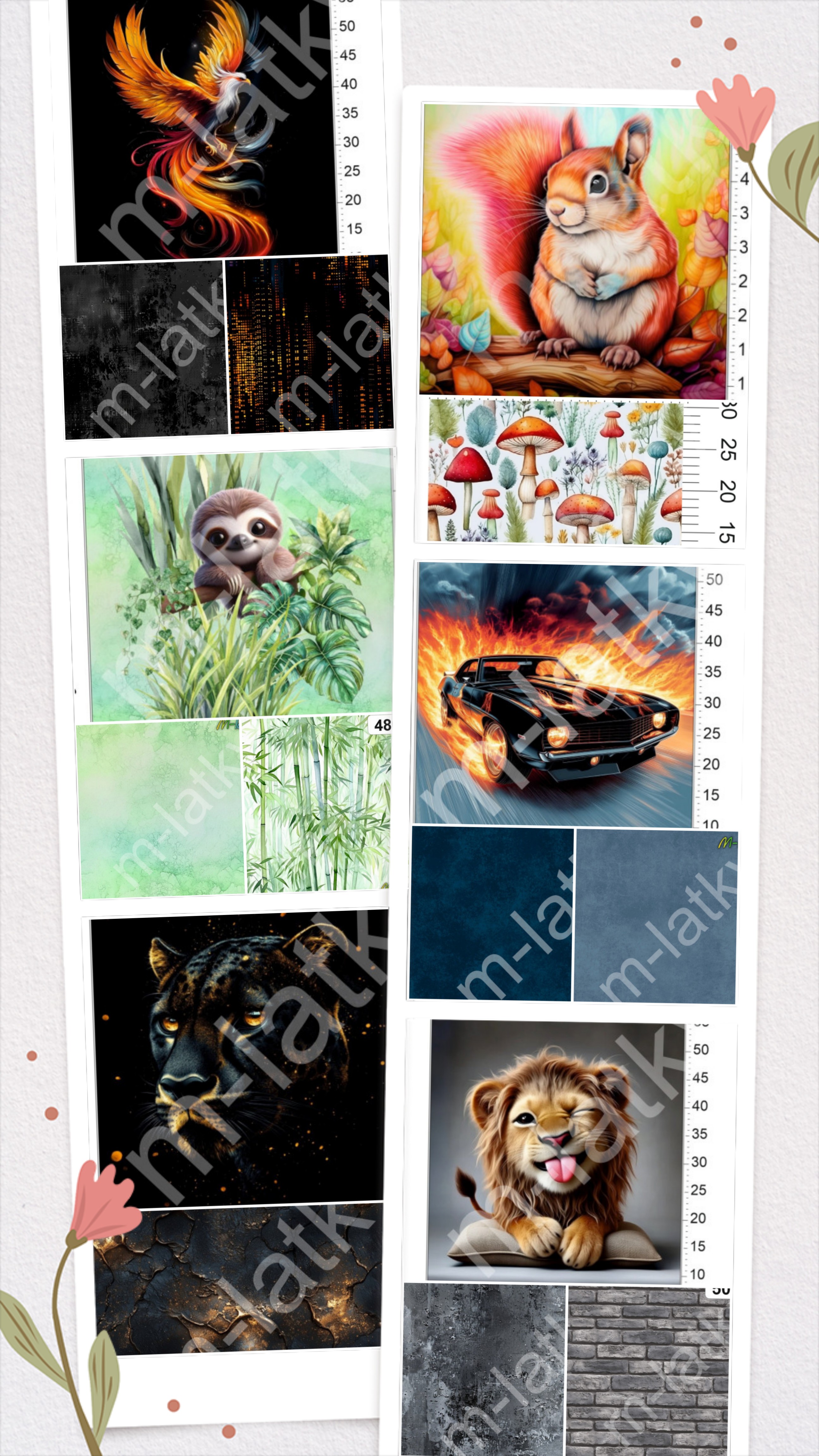 20250818_154705-COLLAGE